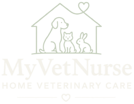 MyVetNurse